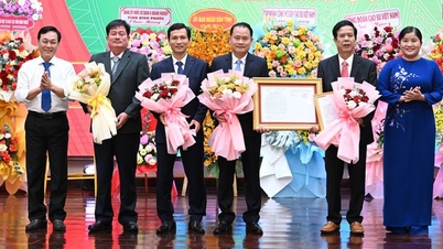Vì sao Trường CĐ Công nghiệp cao su đổi tên thành Trường CĐ Miền Đông?