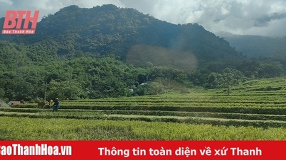 ការផ្លាស់ប្តូរនៅក្នុងដីក្រីក្រ