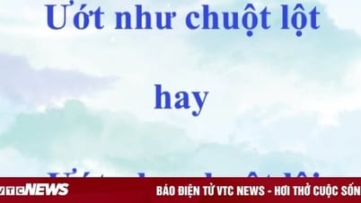 99% នៃមនុស្សនិយាយថាពាក្យដែលធ្លាប់ស្គាល់នេះខុស