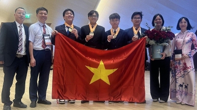 Vietnamese students achieve excellent results at the 35th IBO competition in Kazakhstan