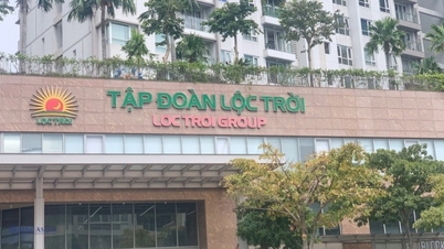 Loc Troi (LTG) lost hundreds of billions, the Board of Directors suddenly had many new factors appear