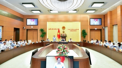 Regulations on the construction of periodic land price lists should be considered.