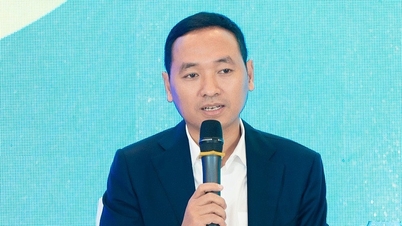 Nguyen Van Tuan 씨: Gelex는 M&A 시 빠른 인수를 우선시하지 않습니다.