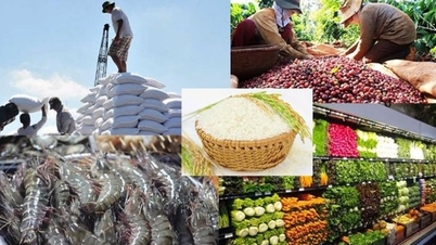 ក្នុងរយៈពេល 6 ខែដំបូងនៃឆ្នាំនេះ អតិរេកពាណិជ្ជកម្មឈានដល់ 11.63 ពាន់លានដុល្លារ។ ការនាំចេញកសិកម្ម រុក្ខាប្រមាញ់ និងនេសាទ កើនឡើង ១៩%។