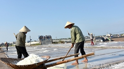 The paradox of salt import story
