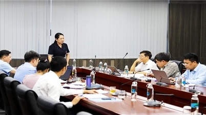 Thứ trưởng, Phó Chủ nhiệm Ủy ban Dân tộc Nông Thị Hà chủ trì họp Ban Chủ nhiệm Chương trình khoa học và công nghệ cấp quốc gia