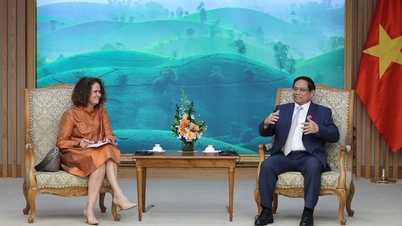 Hợp tác Việt Nam - WB sẽ tập trung cho một số dự án trọng điểm, chiến lược