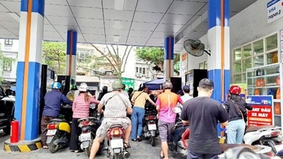 Dự báo tiếp tục giảm
