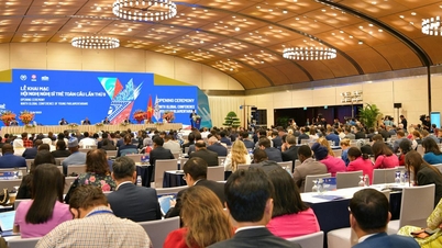 Building a policy framework to promote digital transformation, raise awareness and digital skills