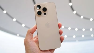 iPhone 16 series officially launched in Vietnam, which version is 'sold out'?
