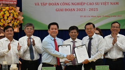 Hội Nhà báo TP.HCM và VRG ký kết thỏa thuận hợp tác