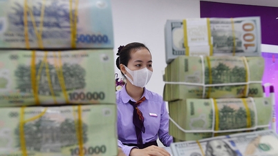 Giá USD ngân hàng tiếp tục giảm, USD tự do vẫn tăng cao