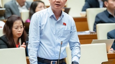 国会の2委員会の常任委員の承認