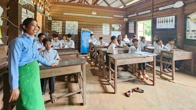 សាបព្រួសអក្សរនៅក្នុងព្រៃកៅស៊ូ