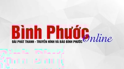 Từ vụ hoa hậu bị tước vương miện...