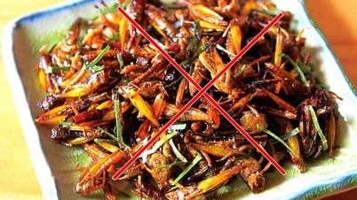 យុវជនម្នាក់ ឆក់អាណាហ្វីឡាក់ទិច បន្ទាប់ពីស៊ីសត្វកណ្តូប