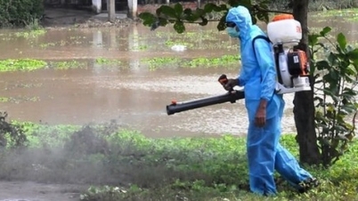 Những bệnh dịch cần đề phòng mùa mưa, lũ