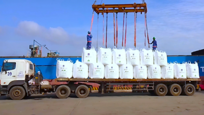 PVFCCo កំណើនគួរឱ្យចាប់អារម្មណ៍ក្នុងការប្រើប្រាស់ និងការពង្រីកទីផ្សារ