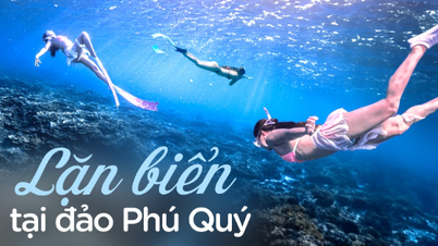1.5 million for 2 sessions, diving lessons, the most magical thing is the beautiful photo service that will make you forget your way home!
