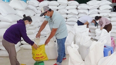 Hỗ trợ hơn 1,1 nghìn tấn gạo cho tỉnh Gia Lai dịp Tết Nguyên đán