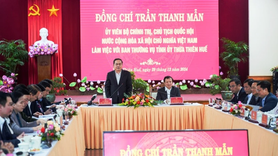 ប្រធានរដ្ឋសភាលោក Tran Thanh Man ធ្វើការជាមួយគណៈកម្មាធិការអចិន្ត្រៃយ៍នៃគណៈកម្មាធិការបក្សខេត្ត Thua Thien Hue
