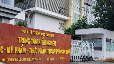 Can Tho Drug Testing Center illegally paid allowances of more than half a billion VND