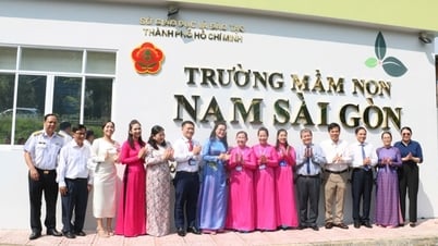 Điều kiện thành lập trường mầm non theo quy định mới nhất của Chính phủ