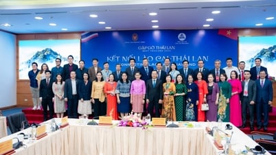 C.P. Việt Nam tham dự chương trình “Gặp gỡ Thái Lan lần thứ 2” tại Lào Cai