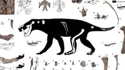 恐竜よりも古い剣歯の怪物が発見される