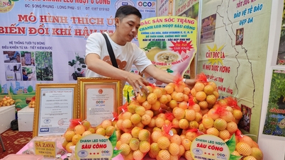 182 sản phẩm OCOP Sóc Trăng lên sàn thương mại điện tử