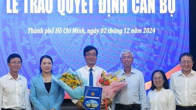 UBND TP HCM tiếp nhận và bổ nhiệm cán bộ