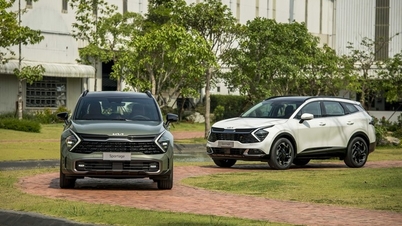 https://baogialai.com.vn/thaco-group-se-ban-10-co-phan-tai-thaco-auto-post241517.html