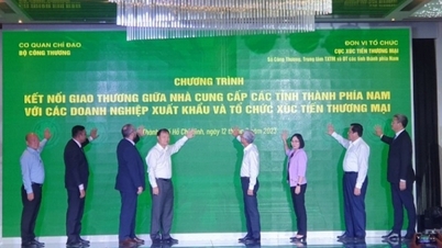 Bộ Công Thương đồng hành kết nối giao thương xuất khẩu cho doanh nghiệp phía Nam