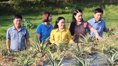 សហករណ៍ជួយស្ត្រី Vu Quang អភិវឌ្ឍផលិតកម្ម និងស្ថិរភាពផលិតផលទិន្នផល