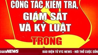 វិធានការ​វិន័យ​ចំពោះ​លេខា​គណៈកម្មាធិការ​បក្ស​ក្រុង Cua Lo លោក Nghe An
