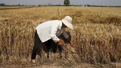 China passes law to protect food security