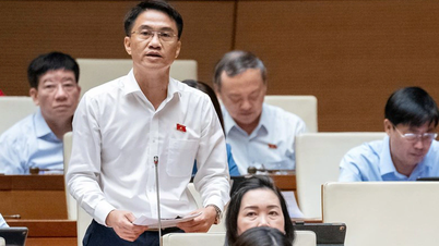 Đại biểu Quốc hội: Dạy thêm học thêm cũng có mặt tích cực, cần xem xét thấu đáo khi cấm