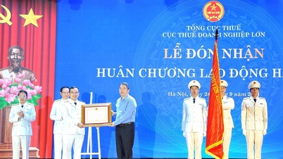 Tiếp tục chuyển đổi số toàn diện quản lý thuế với doanh nghiệp lớn