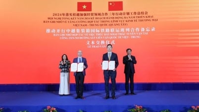 2024: A year of great success for Vietnam's economic cooperation
