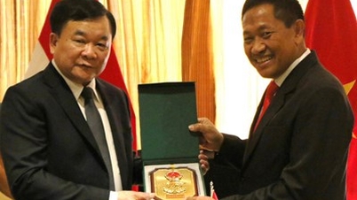 Thượng tướng Hoàng Xuân Chiến gặp song phương Tổng thư ký Bộ Quốc phòng Indonesia