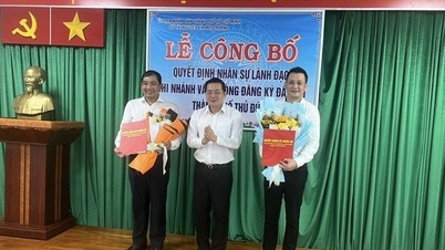 Chi nhánh Văn phòng đăng ký đất đai Tp.Thủ Đức có giám đốc mới