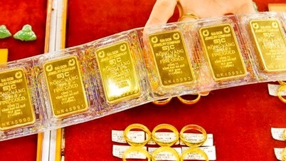 Nguy cơ thua lỗ hiện hữu