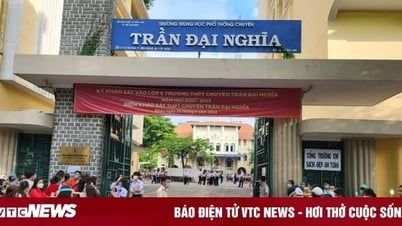 La ciudad de Ho Chi Minh acuerda separar la escuela secundaria Tran Dai Nghia para superdotados