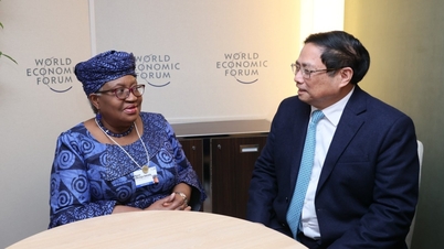 អគ្គនាយក WTO៖ វៀតណាមគឺជាជោគជ័យក្នុងការអភិវឌ្ឍន៍សេដ្ឋកិច្ច
