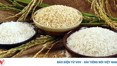 វៀតណាមនៅតែរក្សាតំណែងកំពូលក្នុងការនាំចេញអង្ករទៅកាន់ទីផ្សារហ្វីលីពីន។