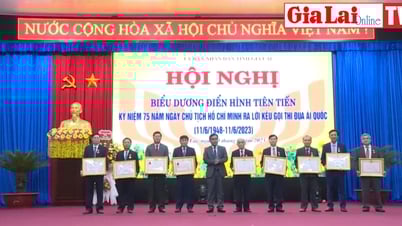 Biểu dương, khen thưởng 14 tập thể, 89 cá nhân điển hình tiên tiến tiêu biểu | Báo Gia Lai điện tử