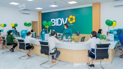 2 cổ đông nắm gần 96% vốn tại BIDV