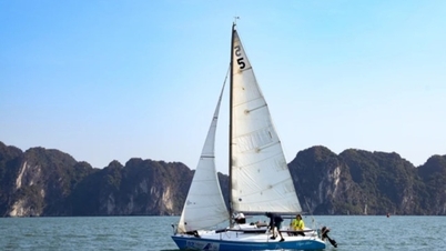 Sẽ diễn ra giải đua thuyền buồm trên vịnh Hạ Long