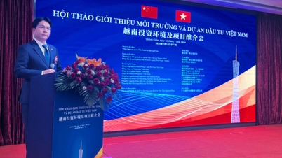 Determined to make a breakthrough in attracting investment from Chinese enterprises and Guangdong province into the Vietnamese market