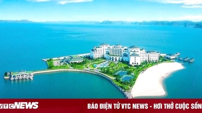 Kinh nghiệm đi du lịch Đảo Rều Quảng Ninh